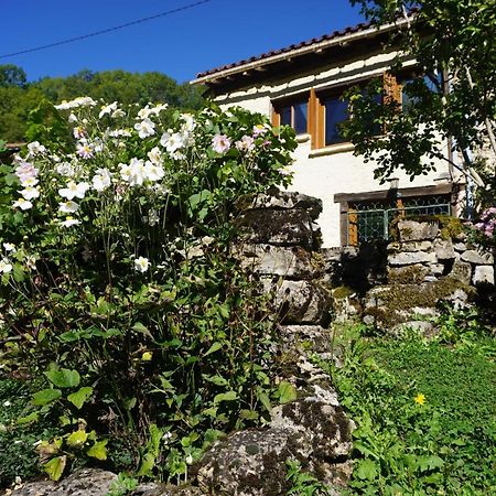 Les Hiboux Villa Castelnau-Durban Dış mekan fotoğraf